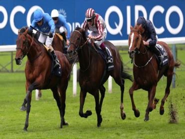 It's the 2014 Champion Stakes on Saturday